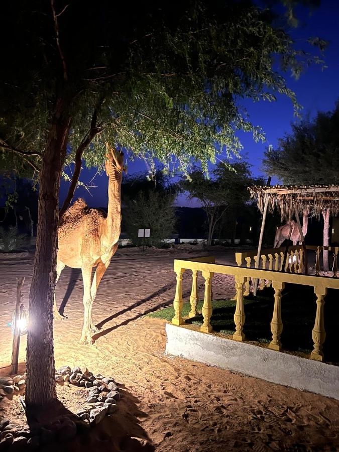 Отель Golden Palm Oasis Fulayj al Masha'ikh Экстерьер фото