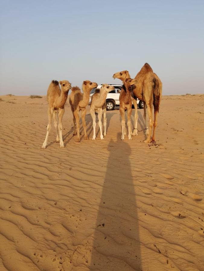 Отель Golden Palm Oasis Fulayj al Masha'ikh Экстерьер фото