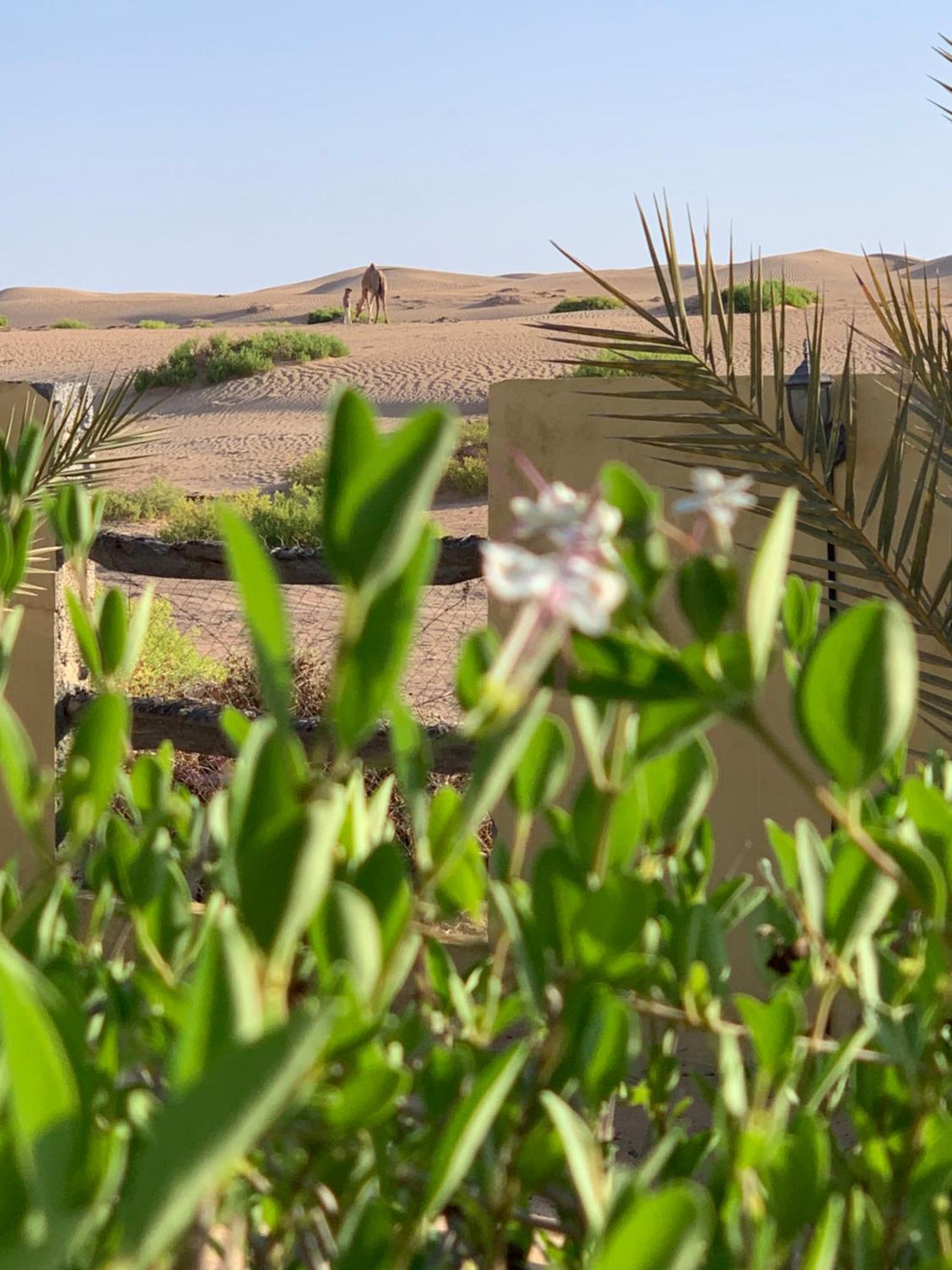 Отель Golden Palm Oasis Fulayj al Masha'ikh Экстерьер фото
