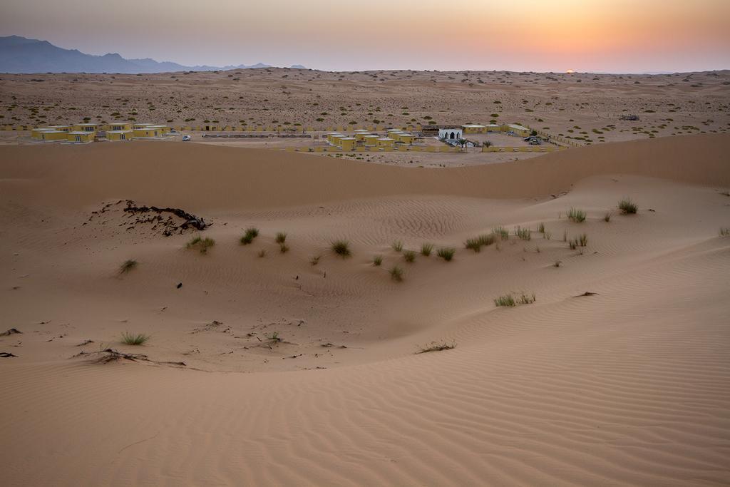 Отель Golden Palm Oasis Fulayj al Masha'ikh Экстерьер фото